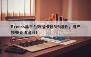 Exness黑平台数据卡顿3秒爆仓，用户损失无法追回！