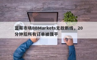 蓝莓市场BBMarkets无故断线，20分钟后所有订单被强平