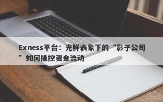 Exness平台：光鲜表象下的“影子公司”如何操控资金流动