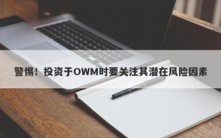 警惕！投资于OWM时要关注其潜在风险因素