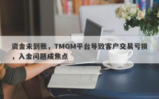 资金未到账，TMGM平台导致客户交易亏损，入金问题成焦点