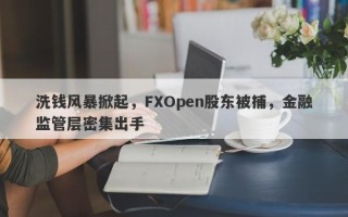 洗钱风暴掀起，FXOpen股东被捕，金融监管层密集出手