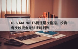 DLS MARKETS提现屡次拖延，投资者反映资金无法按时到账