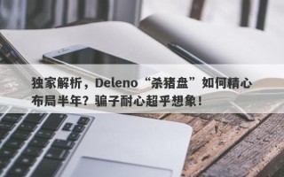 独家解析，Deleno“杀猪盘”如何精心布局半年？骗子耐心超乎想象！