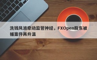 洗钱风波牵动监管神经，FXOpen股东被捕案件再升温