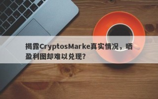 揭露CryptosMarke真实情况，晒盈利图却难以兑现？