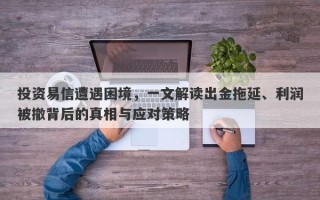 投资易信遭遇困境，一文解读出金拖延、利润被撤背后的真相与应对策略