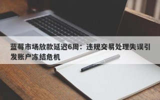 蓝莓市场放款延迟6周：违规交易处理失误引发账户冻结危机