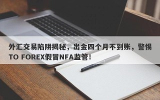 外汇交易陷阱揭秘，出金四个月不到账，警惕TO FOREX假冒NFA监管！