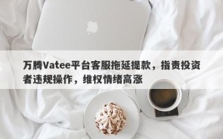 万腾Vatee平台客服拖延提款，指责投资者违规操作，维权情绪高涨