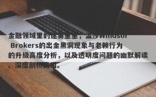 金融领域里的迷雾重重，温莎Windsor Brokers的出金黑洞现象与老赖行为的升级高度分析，以及透明度问题的幽默解读。深度剖析真相。