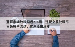 蓝莓市场放款延迟2-6周：违规交易处理不当致账户冻结，客户投诉增多