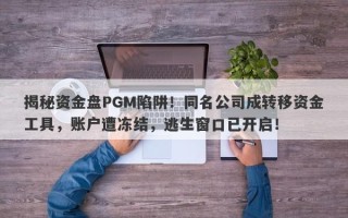 揭秘资金盘PGM陷阱！同名公司成转移资金工具，账户遭冻结，逃生窗口已开启！