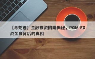 【毒蛇君】金融投资陷阱揭秘，PGM FX资金盘背后的真相