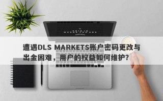 遭遇DLS MARKETS账户密码更改与出金困难，用户的权益如何维护？