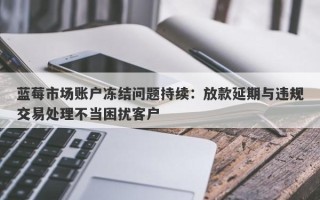 蓝莓市场账户冻结问题持续：放款延期与违规交易处理不当困扰客户