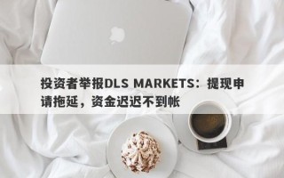 投资者举报DLS MARKETS：提现申请拖延，资金迟迟不到帐