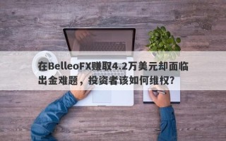 在BelleoFX赚取4.2万美元却面临出金难题，投资者该如何维权？