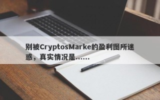 别被CryptosMarke的盈利图所迷惑，真实情况是......