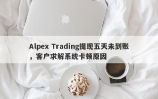 Alpex Trading提现五天未到账，客户求解系统卡顿原因