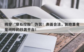 揭穿“摩石控股”伪装！表面合法，背地里竟是纯粹的抄袭平台！