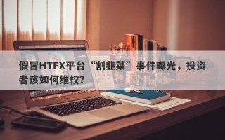 假冒HTFX平台“割韭菜”事件曝光，投资者该如何维权？