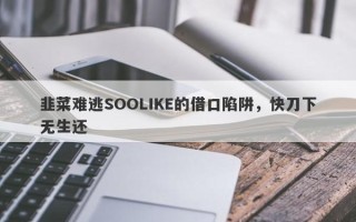 韭菜难逃SOOLIKE的借口陷阱，快刀下无生还