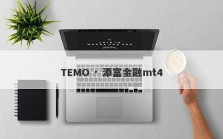 TEMO · 添富金融mt4