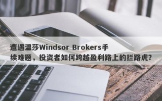 遭遇温莎Windsor Brokers手续难题，投资者如何跨越盈利路上的拦路虎？