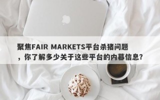 聚焦FAIR MARKETS平台杀猪问题，你了解多少关于这些平台的内幕信息？