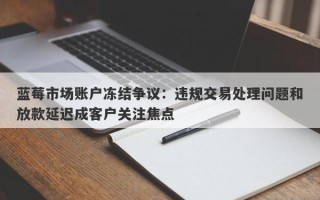 蓝莓市场账户冻结争议：违规交易处理问题和放款延迟成客户关注焦点