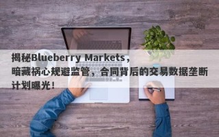 揭秘Blueberry Markets，暗藏祸心规避监管，合同背后的交易数据垄断计划曝光！