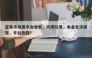 蓝莓市场黑平台危机，代理拉黑，本金无法提现，平台跑路？