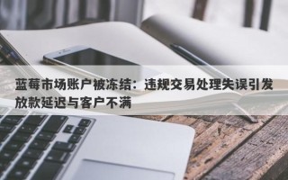 蓝莓市场账户被冻结：违规交易处理失误引发放款延迟与客户不满