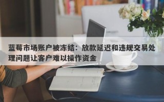 蓝莓市场账户被冻结：放款延迟和违规交易处理问题让客户难以操作资金