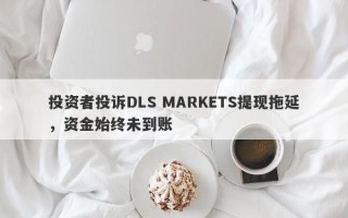 投资者投诉DLS MARKETS提现拖延，资金始终未到账