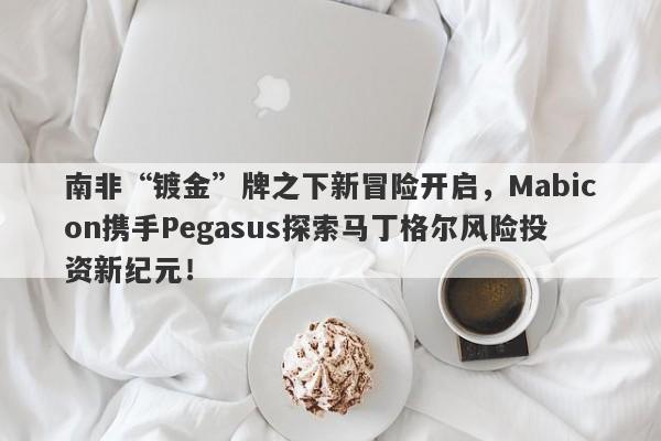 南非“镀金”牌之下新冒险开启，Mabicon携手Pegasus探索马丁格尔风险投资新纪元！-第1张图片-要懂汇