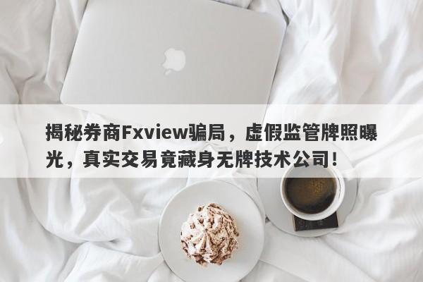 揭秘券商Fxview骗局，虚假监管牌照曝光，真实交易竟藏身无牌技术公司！-第1张图片-要懂汇