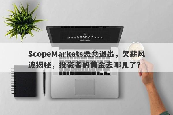 ScopeMarkets恶意退出，欠薪风波揭秘，投资者的黄金去哪儿了？-第1张图片-要懂汇