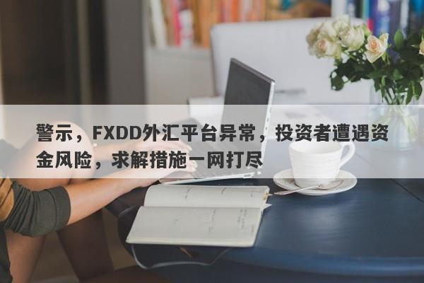 警示，FXDD外汇平台异常，投资者遭遇资金风险，求解措施一网打尽-第1张图片-要懂汇