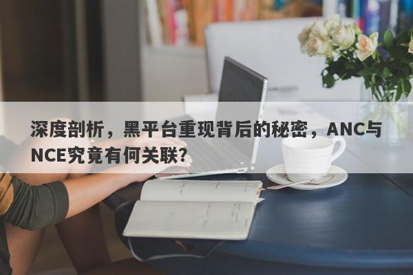 深度剖析，黑平台重现背后的秘密，ANC与NCE究竟有何关联？-第1张图片-要懂汇