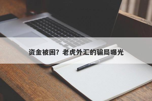 资金被困？老虎外汇的骗局曝光-第1张图片-要懂汇