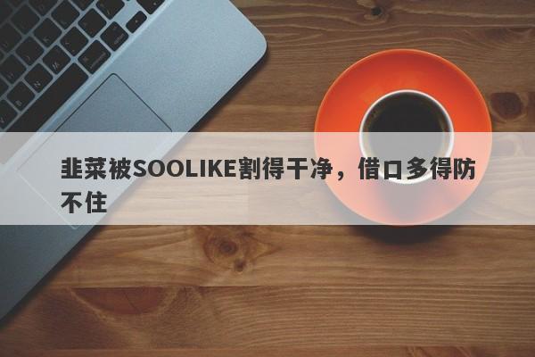 韭菜被SOOLIKE割得干净，借口多得防不住-第1张图片-要懂汇