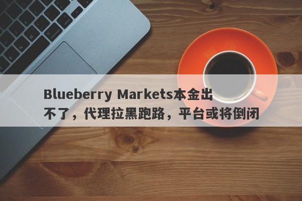 Blueberry Markets本金出不了，代理拉黑跑路，平台或将倒闭-第1张图片-要懂汇