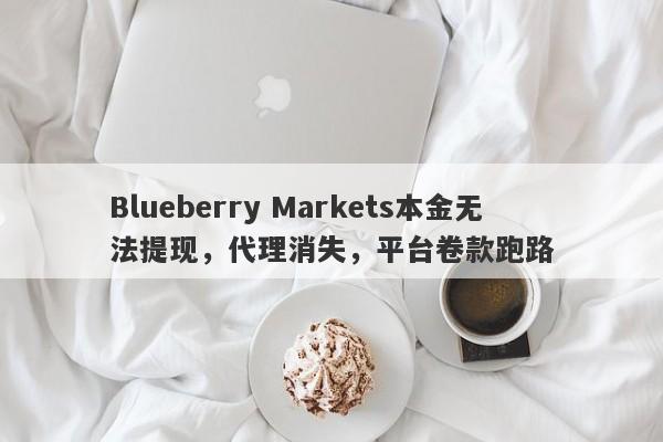 Blueberry Markets本金无法提现，代理消失，平台卷款跑路-第1张图片-要懂汇