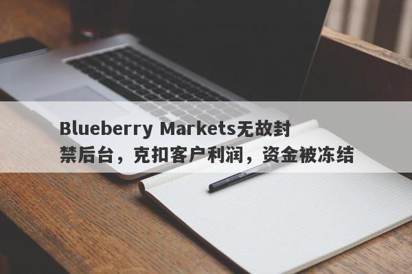 Blueberry Markets无故封禁后台，克扣客户利润，资金被冻结-第1张图片-要懂汇