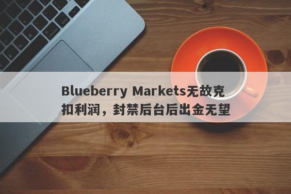 Blueberry Markets无故克扣利润，封禁后台后出金无望-第1张图片-要懂汇