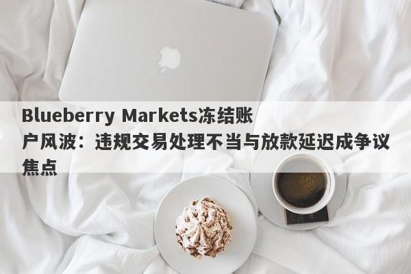 Blueberry Markets冻结账户风波：违规交易处理不当与放款延迟成争议焦点-第1张图片-要懂汇