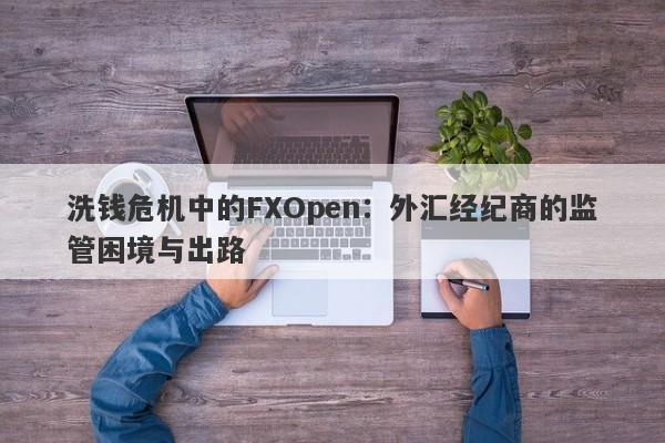 洗钱危机中的FXOpen：外汇经纪商的监管困境与出路-第1张图片-要懂汇