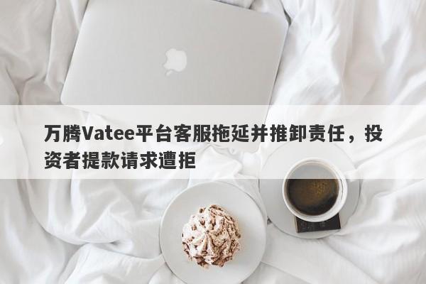 万腾Vatee平台客服拖延并推卸责任，投资者提款请求遭拒-第1张图片-要懂汇